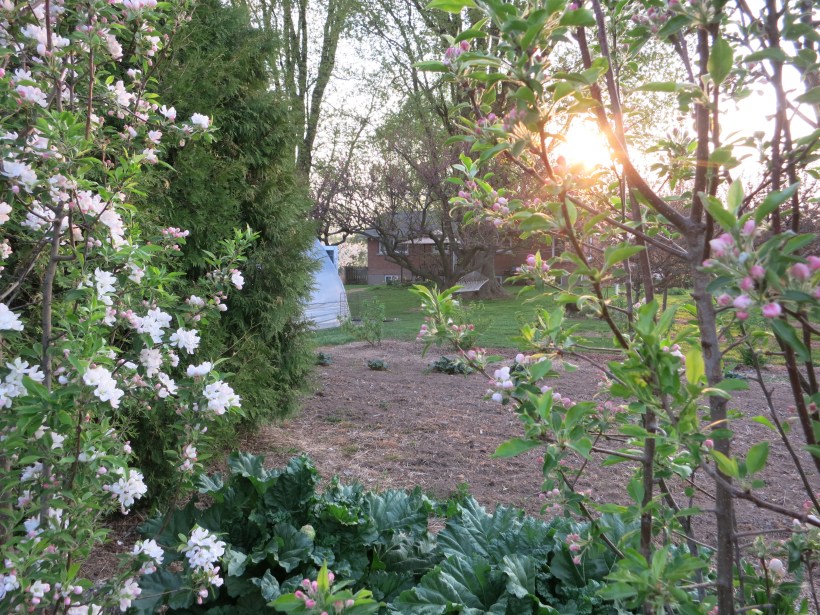 kailey &Nathanaels wedding may 9 025