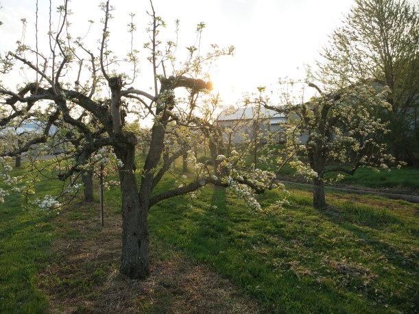 kailey &Nathanaels wedding may 9 038